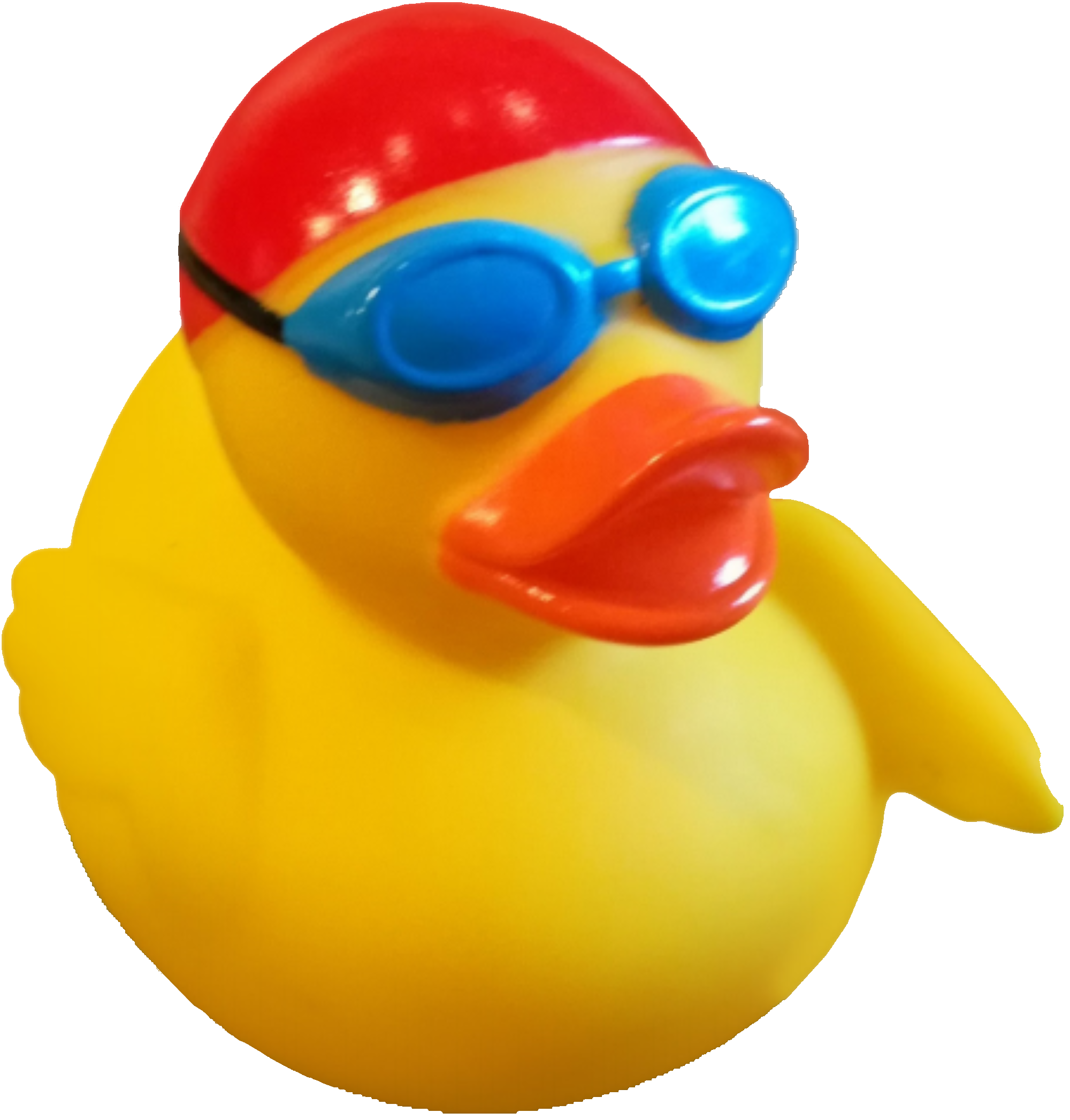 Logo Duck